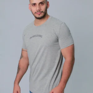 LS50256 CAMISETA GRIS MANGA CORTA CON ESTAMPADO